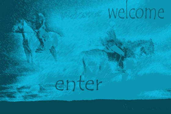 enter.jpg