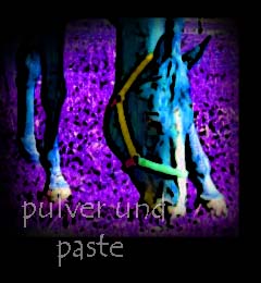 pulverpaste.jpg